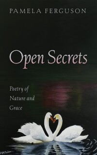 Cover image: Open Secrets 9798385203208