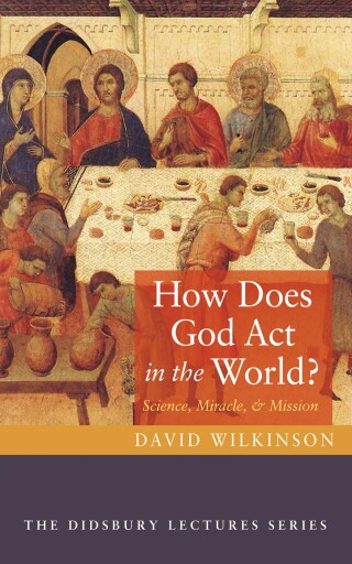Imagen de portada: How Does God Act in the World? 9798385208814