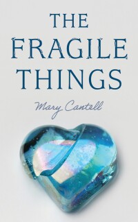 Imagen de portada: The Fragile Things 9798385210374