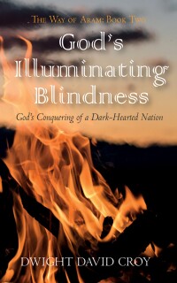 表紙画像: God’s Illuminating Blindness 9798385213009