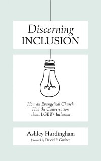 Cover image: Discerning Inclusion 9798385213931