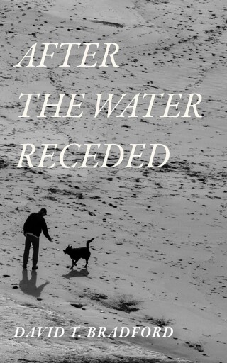 Imagen de portada: After the Water Receded 9798385225255