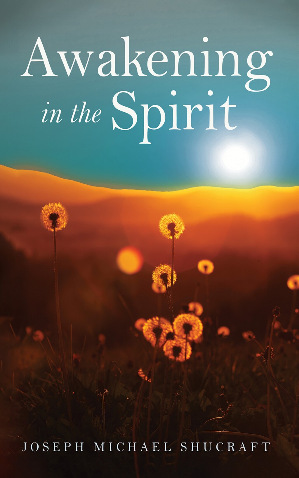 Awakening in the Spirit eBook