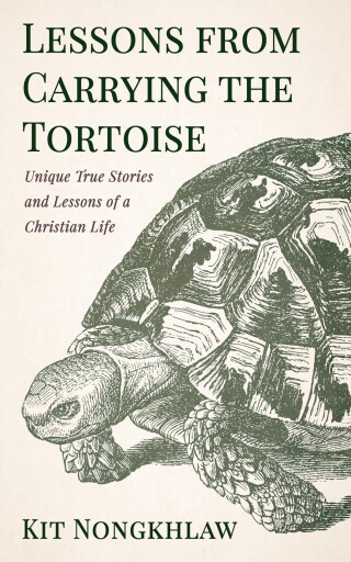 Cover image: Lessons from Carrying the Tortoise 9798385226337