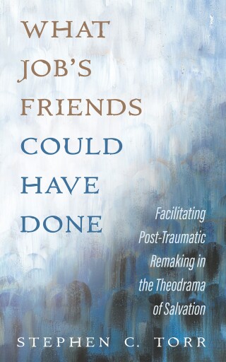 Imagen de portada: What Job’s Friends Could Have Done 9798385227563