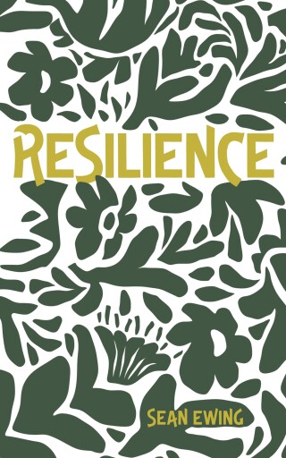 Imagen de portada: Resilience 9798385231263