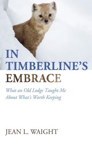 صورة الغلاف: In Timberline’s Embrace 9798385234844