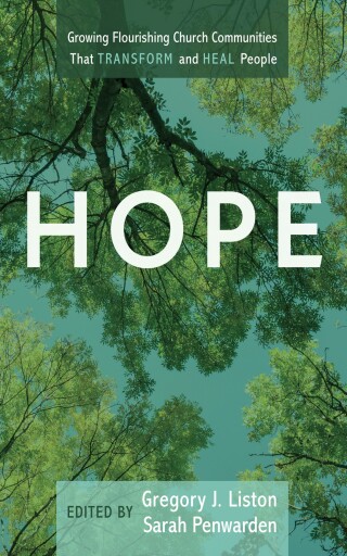 Imagen de portada: Hope 9798385235995