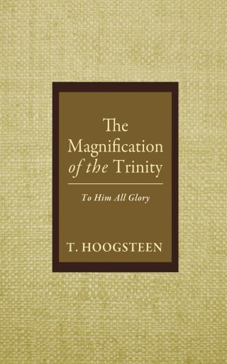 Cover image: The Magnification of the Trinity 9798385250363