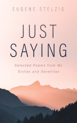 Imagen de portada: Just Saying 9798385272525