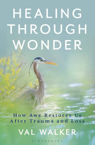 Imagen de portada: Healing Through Wonder 1st edition 9798881842406