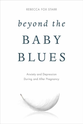 Cover image: Beyond the Baby Blues 1st edition 9781442273900