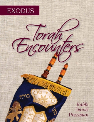 Imagen de portada: Torah Encounters 1st edition 9781538131220
