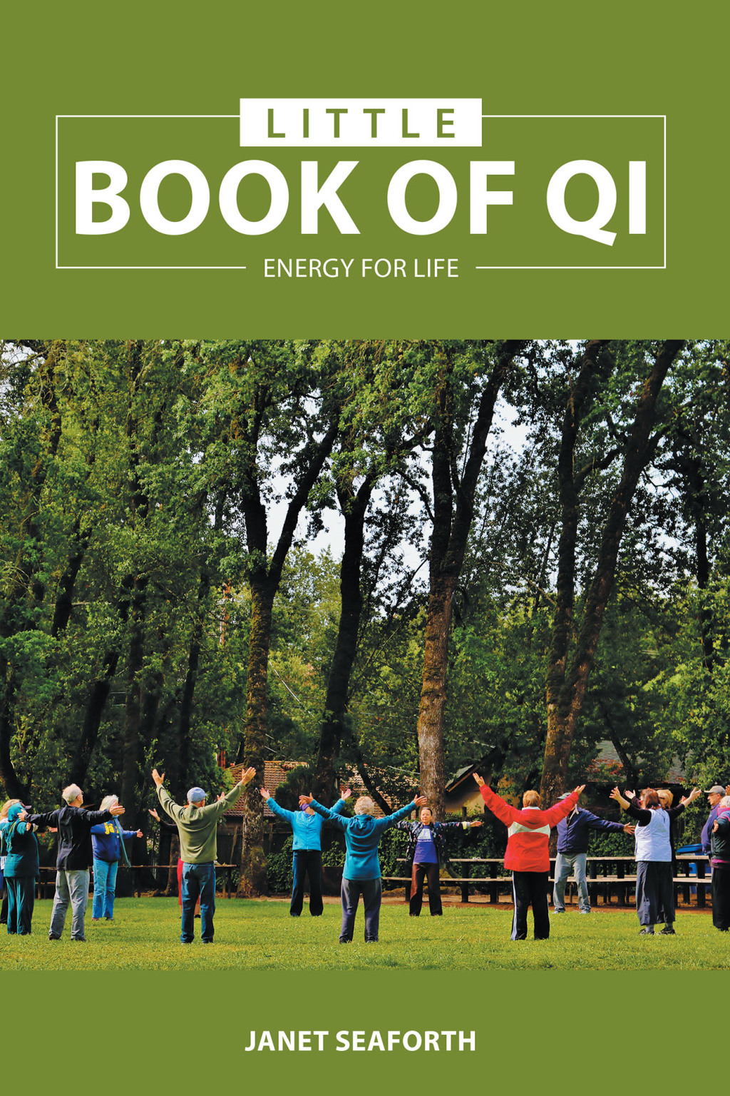 Little Book of Qi eBook
