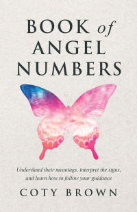 Omslagafbeelding: Book of Angel Numbers 9798765236390