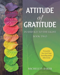 Omslagafbeelding: Attitude of Gratitude 9798765242353
