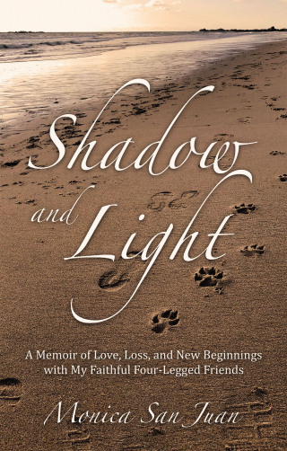 表紙画像: Shadow and Light 9798765246641