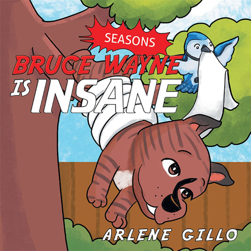 Bruce Wayne Is Insane eBook