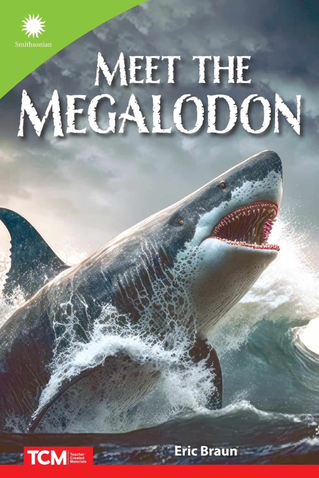 ISBN 9798765968642 product image for Meet the Megalodon - 1st Edition (eBook) | upcitemdb.com