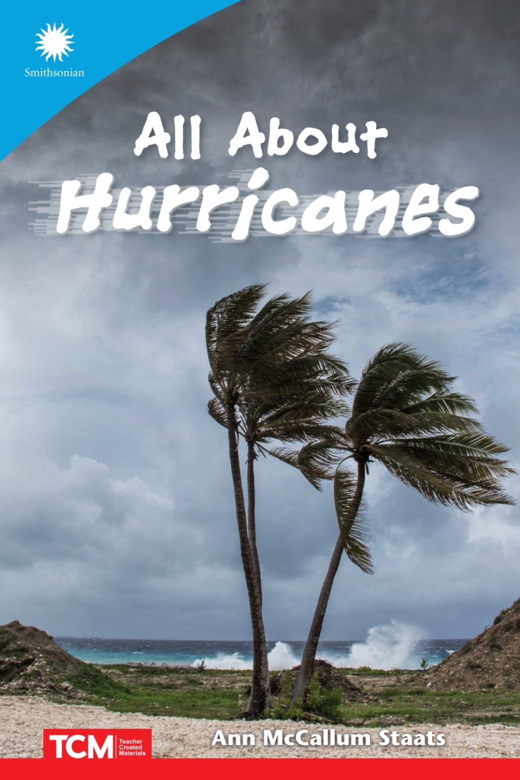 ISBN 9798765968956 product image for All About Hurricanes - 1st Edition (eBook) | upcitemdb.com