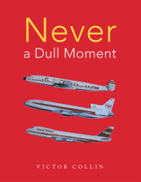 Cover image: Never a Dull Moment 9798823003735