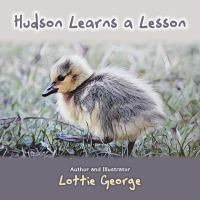 Imagen de portada: Hudson Learns a Lesson 9798823005210