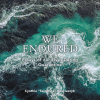 Cover image: We Endured 9798823009614