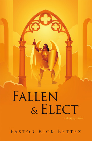 Cover image: Fallen & Elect 9798823014953