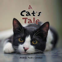 Imagen de portada: A Cat’s Tale 9798823020282