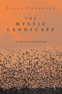 Omslagafbeelding: The Mystic Landscape 9798823025188