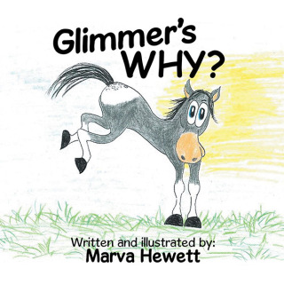 Cover image: Glimmer’s WHY? 9798823044004