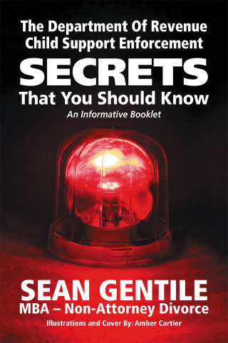 Cover image: THE DEPARTMENT OF REVENUE CHILD SUPPORT ENFORCEMENT SECRETS 9798823047579
