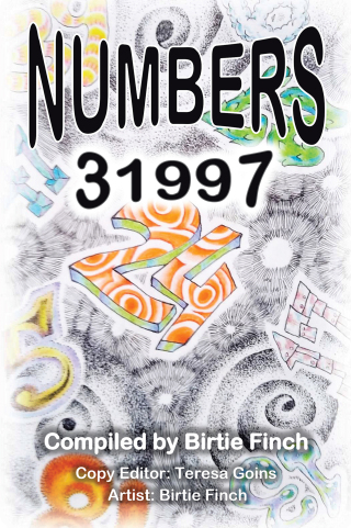 表紙画像: NUMBERS 31997 9798823056205