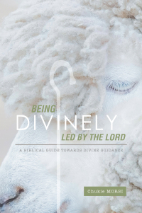 Omslagafbeelding: Being Divinely Led by the Lord 9798823080095