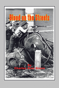 Cover image: Blood on the Streets 9798823082723