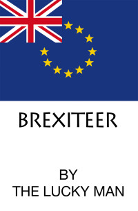 表紙画像: BREXITEER 9798823084734