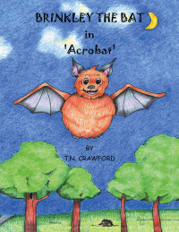 Cover image: BRINKLEY THE BAT in 'Acrobat' 9798823087735