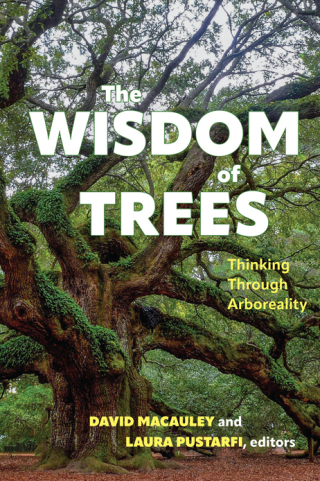 Cover image: The Wisdom of Trees 9798855802719