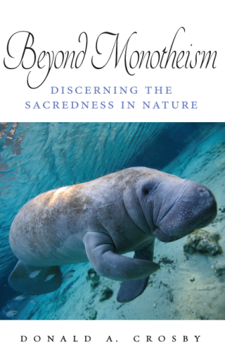 Cover image: Beyond Monotheism 9798855804157