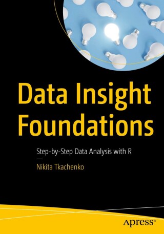 Imagen de portada: Data Insight Foundations 9798868805790