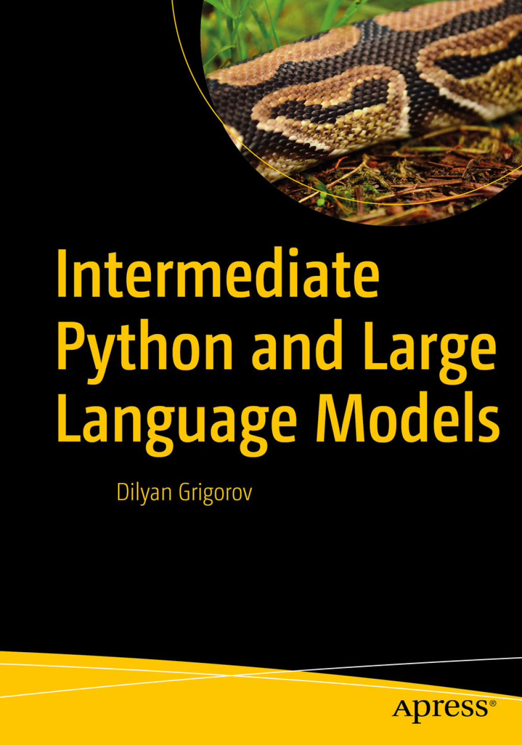 Intermediate Python and Large Language Models (eBook Rental)