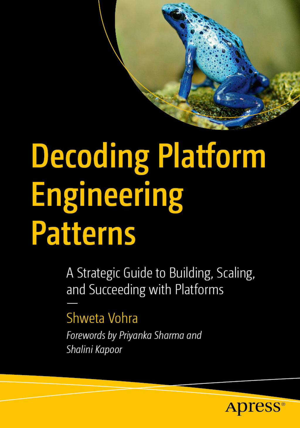 Decoding Platform Engineering Patterns (eBook Rental)