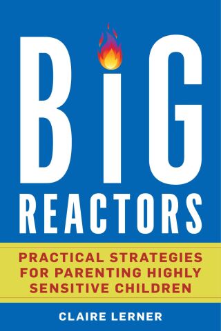 Cover image: Big Reactors 1st edition 9798881802820