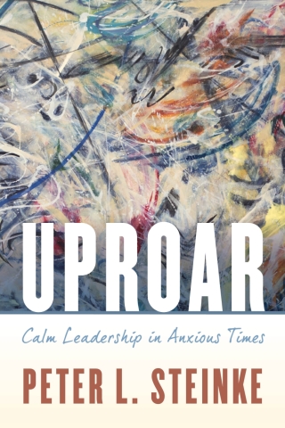 Cover image: Uproar 1st edition 9781538116531