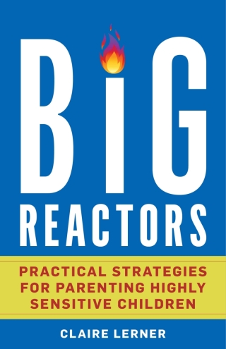 Cover image: Big Reactors 1st edition 9798881802820