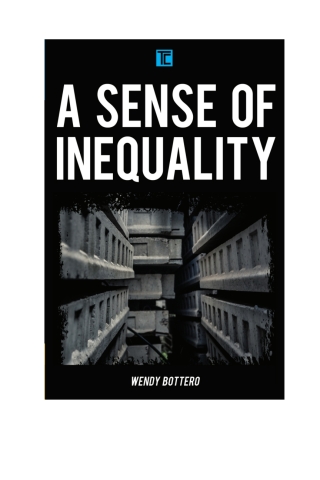 Cover image: A Sense of Inequality 1st edition 9781783487868