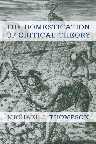 Titelbild: The Domestication of Critical Theory 1st edition 9781783484300