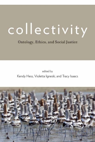 Cover image: Collectivity 1st edition 9781786606310