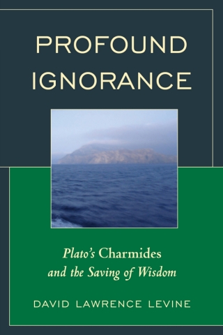 Immagine di copertina: Profound Ignorance 1st edition 9781498501781