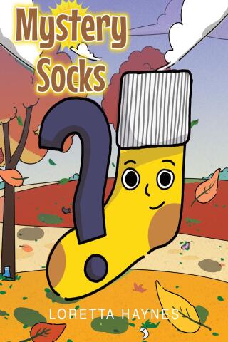 Imagen de portada: Mystery Socks 9798885401258